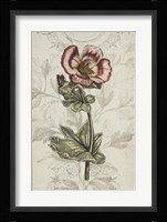 Keepsake Floral I Framed Print