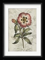 Keepsake Floral II Framed Print