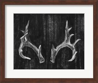 Rustic Antlers I Fine Art Print