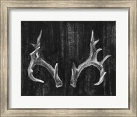 Rustic Antlers I Fine Art Print