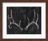 Rustic Antlers II Fine Art Print