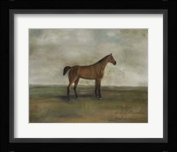 A Bay Hunter Fine Art Print