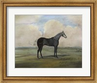 ""The Kicker,"" A Steel Grey Racehorse Fine Art Print