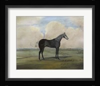 ""The Kicker,"" A Steel Grey Racehorse Fine Art Print