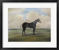 ""The Kicker,"" A Steel Grey Racehorse Fine Art Print
