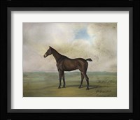 The Prince Rohan's Favorite Hunter Fine Art Print