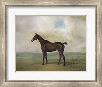 The Prince Rohan's Favorite Hunter Fine Art Print