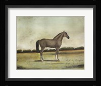 A Strawberry Roan Hunter Fine Art Print
