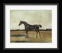 ""Trentham,"" A Bay Colt Fine Art Print