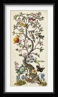 Chinoiserie Natura I Fine Art Print