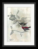 After Flight III Framed Print