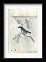 After Flight IV Framed Print