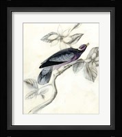 Rustic Aviary I Fine Art Print