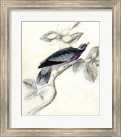 Rustic Aviary I Fine Art Print