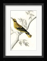 Rustic Aviary II Fine Art Print