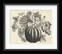 Sepia Squash I Fine Art Print