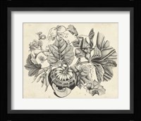 Sepia Squash II Fine Art Print