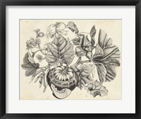 Sepia Squash II Fine Art Print