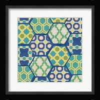 Painted Tortoise II Framed Print