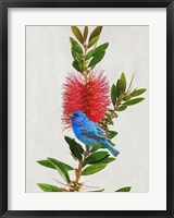 Avian Tropics III Fine Art Print