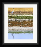 Blackwater Tapestry I Fine Art Print