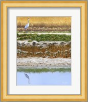 Blackwater Tapestry I Fine Art Print