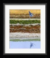Blackwater Tapestry II Fine Art Print