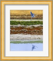 Blackwater Tapestry II Fine Art Print