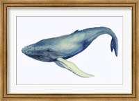 The Whale's Song I Fine Art Print