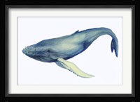 The Whale's Song I Fine Art Print