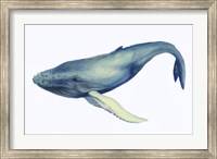 The Whale's Song I Fine Art Print