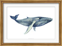 The Whale's Song II Fine Art Print