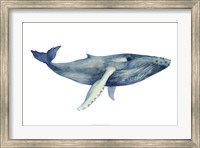 The Whale's Song II Fine Art Print
