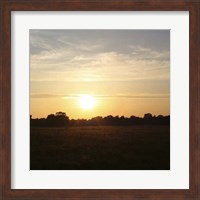 Sunset Field I Fine Art Print