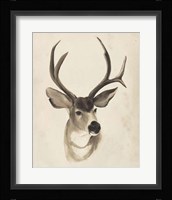 Watercolor Animal Study II Framed Print