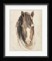 Watercolor Animal Study V Framed Print