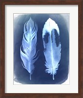 Feather Negatives II Fine Art Print