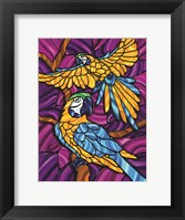 Parrot A Fine Art Print