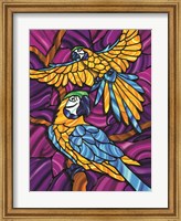 Parrot A Fine Art Print