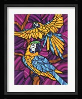 Parrot A Fine Art Print