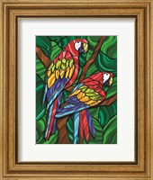 Parrot B Fine Art Print