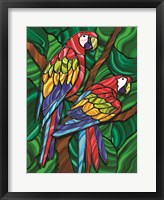 Parrot B Fine Art Print