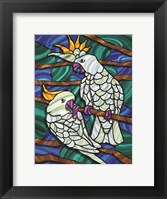 Parrot C Fine Art Print