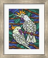 Parrot C Fine Art Print
