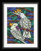 Parrot C Fine Art Print