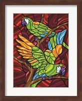 Parrot D Fine Art Print
