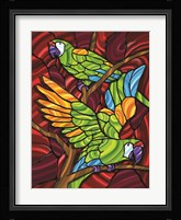 Parrot D Fine Art Print