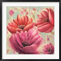 Pink Poppy Bloom Fine Art Print