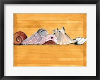 Shell Vacation Fine Art Print