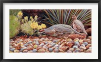 Quail Pair Fine Art Print